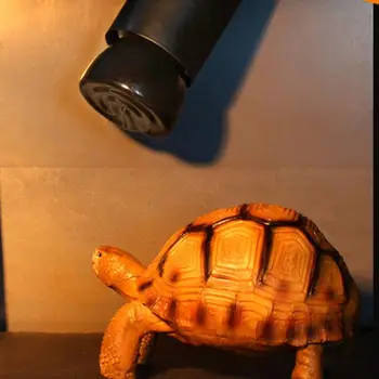 W 50W 75W 100W E27 Farinfrared kerámia fűtéshez Lámpa teknőspókhoz Hüllő világítódoboz melegítő izzók