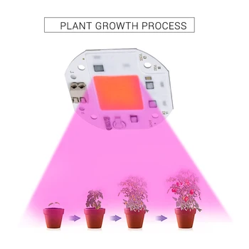 COB Grow LED chip teljes spektrumú LED termesztő lámpa 20W 30W 50W fitolámpa növényekhez beltéri üvegházi magok virág fitolamp