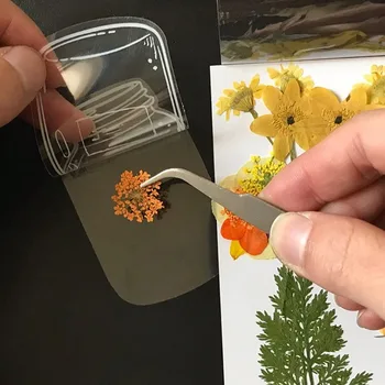 20Pcs átlátszó szárított virág könyvjelzők DIY kézzel készített könyv virág oldalklipek nincs virág írószer selyempapír kézműves
