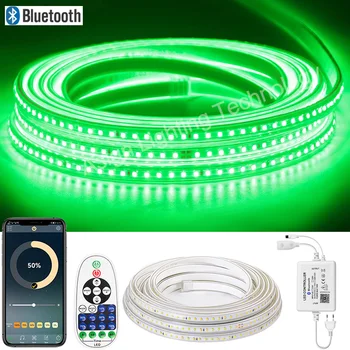  szabályozható LED szalag fény AC220V SMD2835 IP67 vízálló LED neon szalag 120LEDs / M távirányító / Buletooth / Wifi vezérlés rugalmas szalag